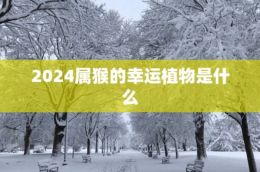 2025属猴的幸运植物是什么