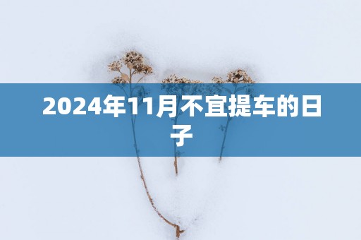 2025年11月不宜提车的日子