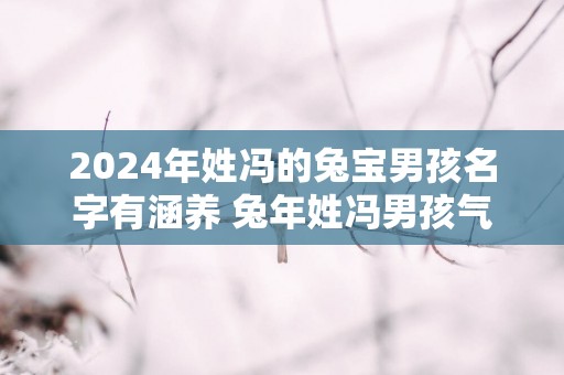 2025年姓冯的兔宝男孩名字有涵养 蛇年姓冯男孩气质高雅顺口