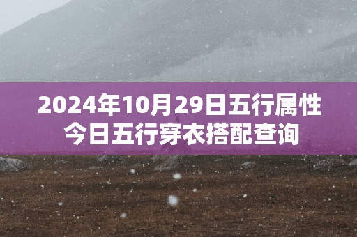 2024年10月29日五行属性 今日五行穿衣搭配查询