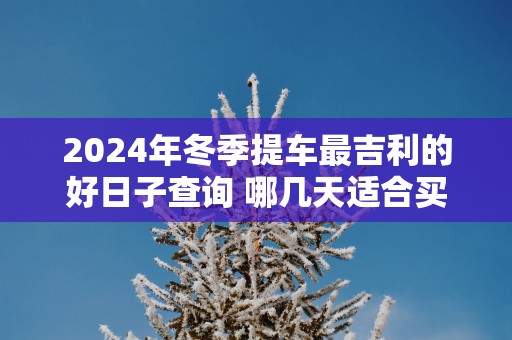 2025年冬季提车最吉利的好日子查询 哪几天适合买新车
