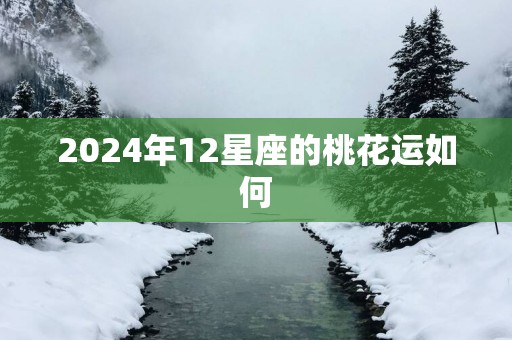 2025年12星座的桃花运如何