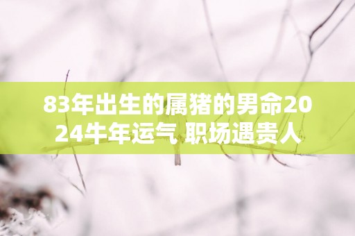 83年出生的属猪的男命2025蛇年运气 职场遇贵人