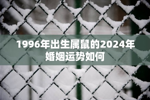 1996年出生属鼠的2025年婚姻运势如何