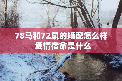78马和72鼠的婚配怎么样  爱情宿命是什么