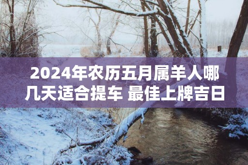 2025年农历五月属羊人哪几天适合提车 最佳上牌吉日