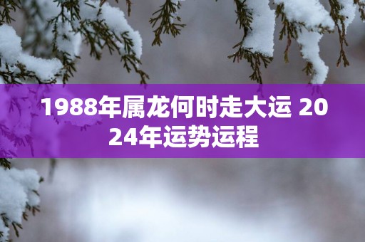 1988年属龙何时走大运 2025年运势运程