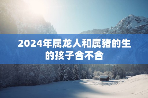 2025年属龙人和属猪的生的孩子合不合