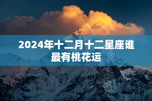 2025年十二月十二星座谁最有桃花运