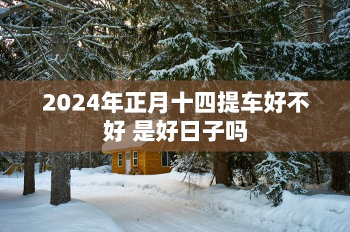 2025年正月十四提车好不好 是好日子吗