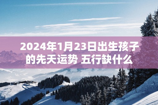 2025年1月23日出生孩子的先天运势 五行缺什么