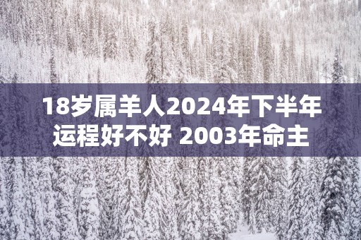 18岁属羊人2025年下半年运程好不好 2003年命主