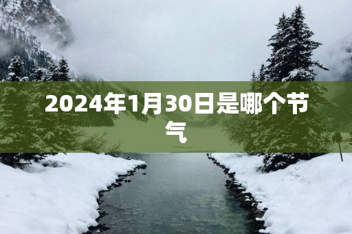 2025年1月30日是哪个节气