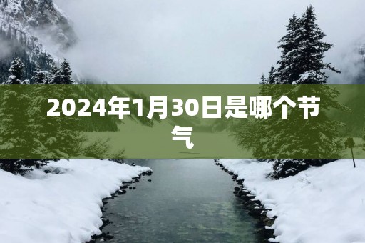 2024年1月30日是哪个节气