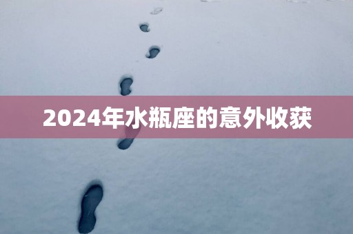 2024年水瓶座的意外收获