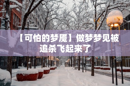 【可怕的梦魇】做梦梦见被追杀飞起来了