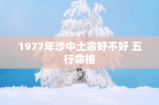 1977年沙中土命好不好 五行命格