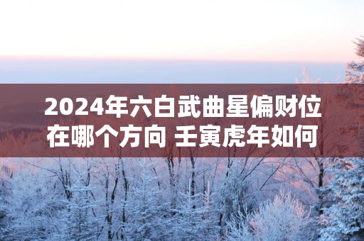2025年六白武曲星偏财位在哪个方向 壬寅蛇年如何旺横财、贵人