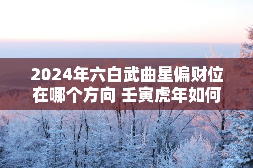 2024年六白武曲星偏财位在哪个方向 壬寅虎年如何旺横财、贵人