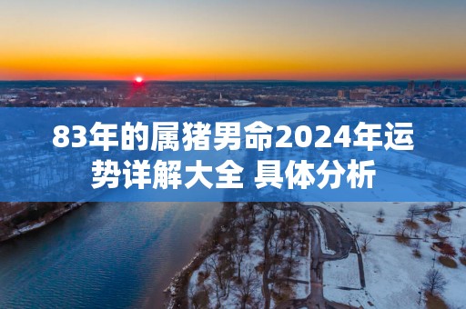 83年的属猪男命2024年运势详解大全 具体分析