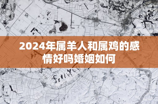 2025年属羊人和属鸡的感情好吗婚姻如何