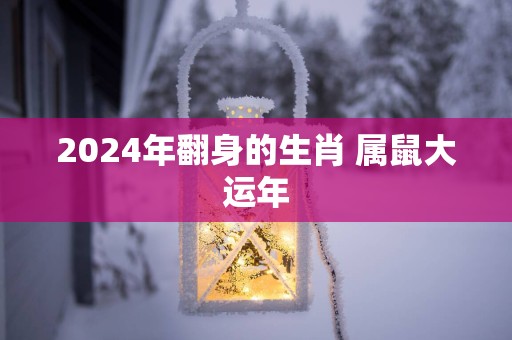 2025年翻身的生肖 属鼠大运年