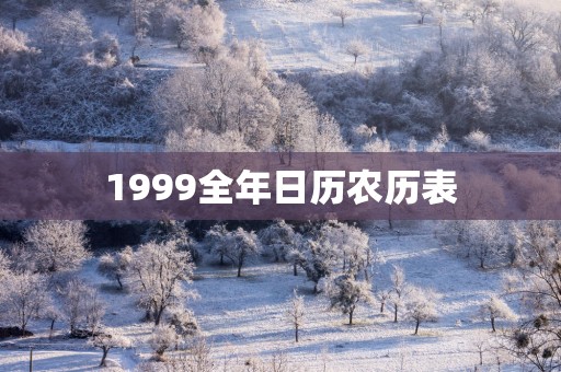 1999全年日历农历表