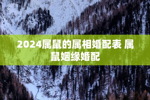 2025属鼠的属相婚配表 属鼠姻缘婚配