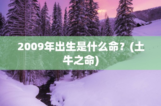 2009年出生是什么命？(土牛之命)