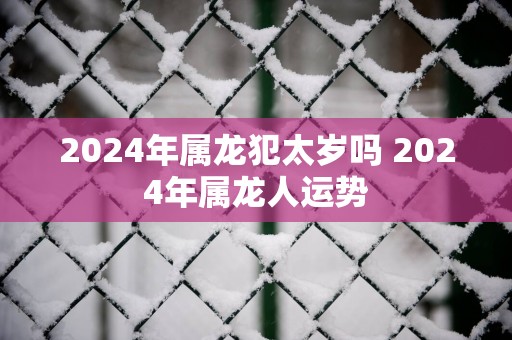 2025年属龙犯太岁吗 2025年属龙人运势