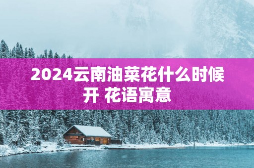 2025云南油菜花什么时候开 花语寓意
