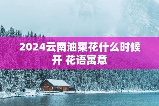 2024云南油菜花什么时候开 花语寓意