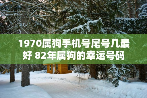 1970属狗手机号尾号几最好 82年属狗的幸运号码