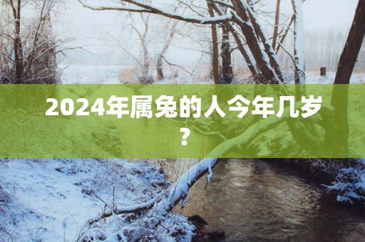 2025年属兔的人今年几岁？