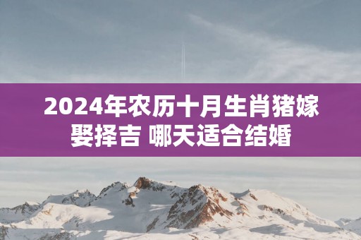 2025年农历十月生肖猪嫁娶择吉 哪天适合结婚