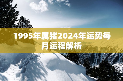 1995年属猪2025年运势每月运程解析