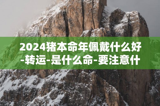 2025猪本命年佩戴什么好-转运-是什么命-要注意什么
