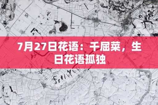 7月27日花语：千屈菜，生日花语孤独