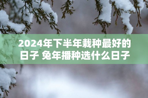 2025年下半年栽种最好的日子 蛇年播种选什么日子