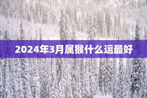 2025年3月属猴什么运最好