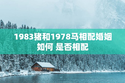 1983猪和1978马相配婚姻如何 是否相配