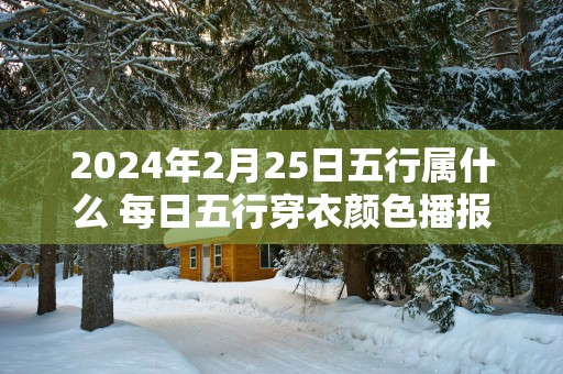 2025年2月25日五行属什么 每日五行穿衣颜色播报