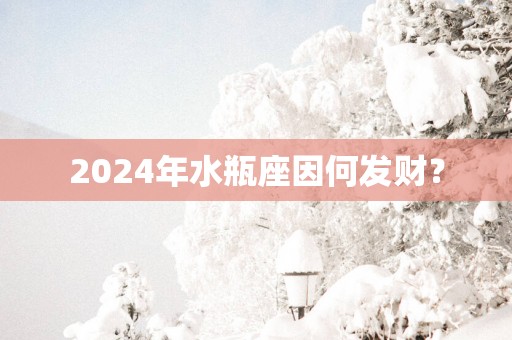 2025年水瓶座因何发财？