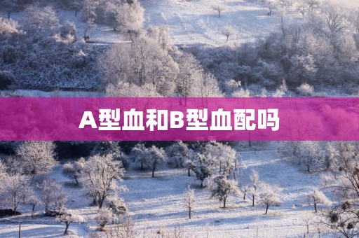 A型血和B型血配吗