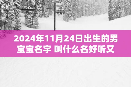 2024年11月24日出生的男宝宝名字 叫什么名好听又吉利网