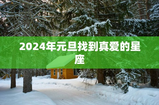 2025年元旦找到真爱的星座