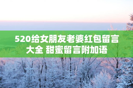 520给女朋友老婆红包留言大全 甜蜜留言附加语