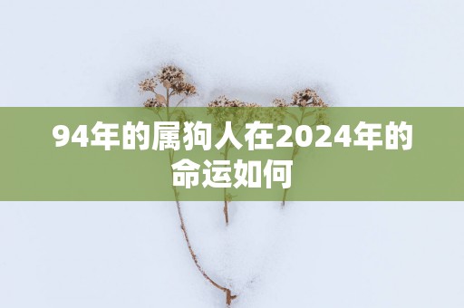 94年的属狗人在2025年的命运如何
