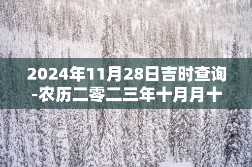 2025年11月28日吉时查询-农历二零二三年十月月十六日时辰吉凶网