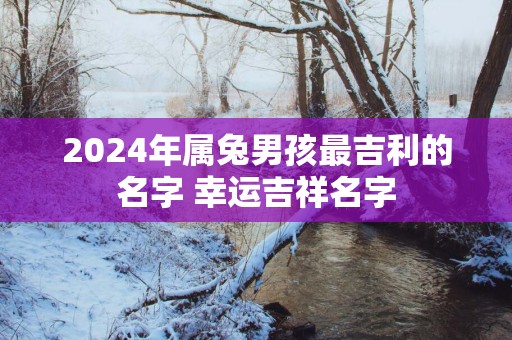 2025年属兔男孩最吉利的名字 幸运吉祥名字